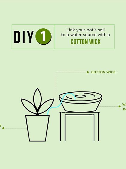 DIY watering hack 1: Link your pot's soil to a water source with a cotton wick. This simple setup provides a slow, steady supply of moisture.
