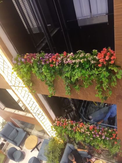 Hanging Greenery & Ceiling Decor photo 19