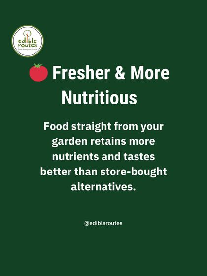 Food harvested straight from your garden is fresher and more nutritious. It retains more vitamins and minerals, and the taste is incomparably better than store-bought alternatives.