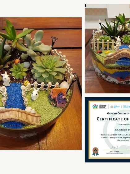 Greening Wonders - Corporate & Personal Plant Gifting Miniature Gardens & Terrariums photo 9