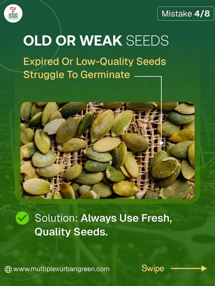 Multiplex Urban Green - Organic Gardening Supplies Gardening for Beginners: Tips & Tricks photo 4