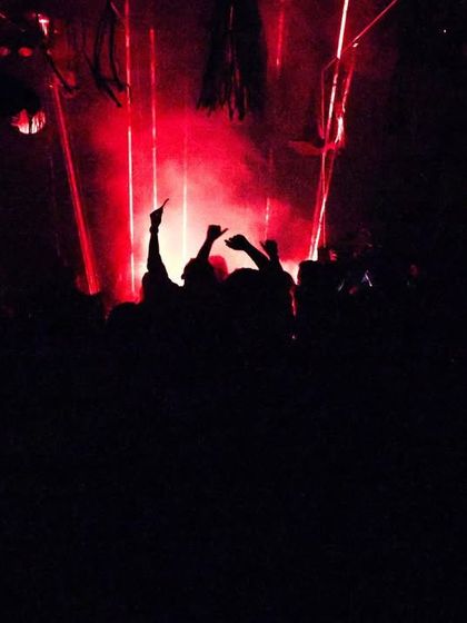 Silhouettes in the dark, with hands raised towards the intense red lights. This is a powerful, anonymous image of collective euphoria.