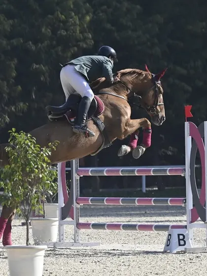 A powerful display of scope and technique from the hind end as the horse clears the jump. This highlights the physical conditioning and training our horses receive.