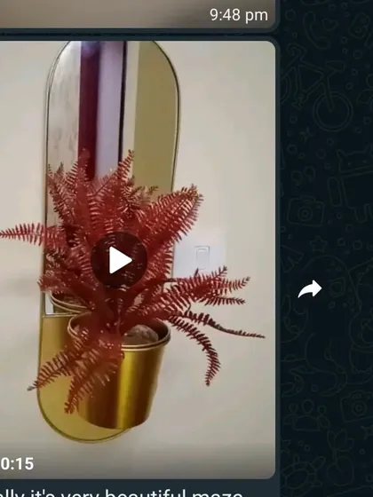 A client sent me this video of a wall-mounted metal planter I sold. It has a golden finish with a mirror accent and is styled with a beautiful red fern. It's always wonderful to see my products in their new homes!