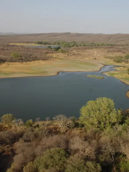 An aerial view of a lake within a tiger reserve, a critical water source that sustains the entire ecosystem. These landscapes are the lifeblood of India's tiger population.