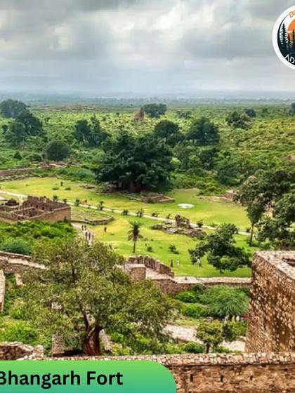 Wildlife & Jungle Safaris photo 12