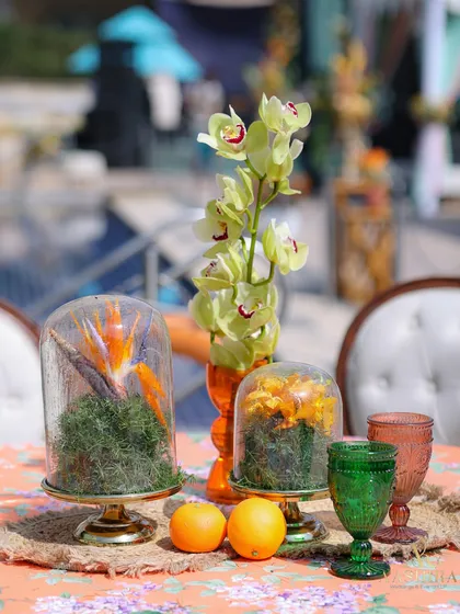 A creative tablescape featuring flowers under glass cloches, fresh oranges, and vibrant green and orange glassware.