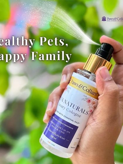 PawsnCollars - Pet Grooming & Spa Ava Naturals: Luxury Pet Cologne photo 8