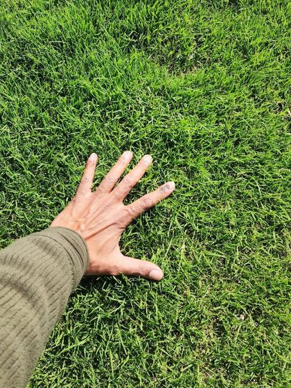 Delhi Gardner - Full-Service Landscaping Premium Lawn & Turf Solutions photo 35