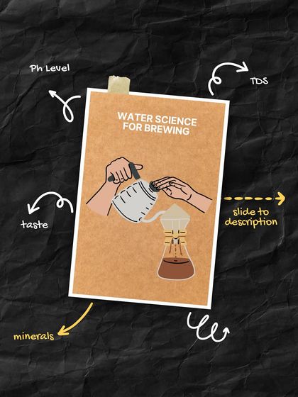 A visual breakdown of how water's pH, TDS, mineral content, and taste all contribute to the final cup. We help you get your water right.