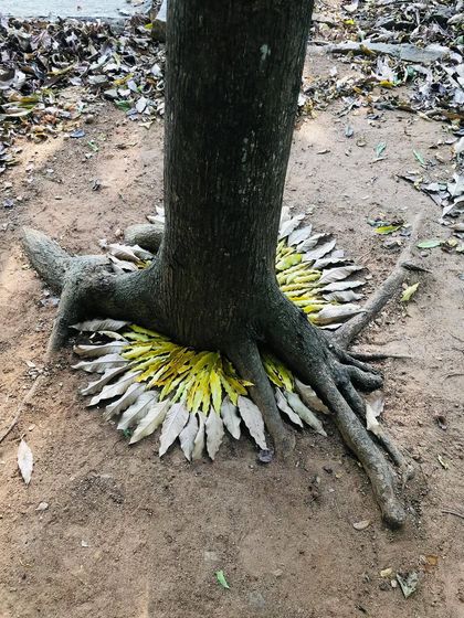Sometimes the most beautiful collaborations are with nature itself. I love creating these meditative, temporary art pieces using found materials like fallen leaves, stones, and twigs. It’s a practice of being present and finding art in the world just as it is.