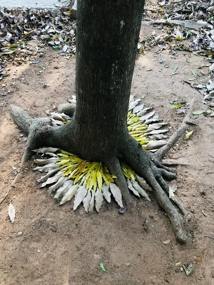 Sometimes the most beautiful collaborations are with nature itself. I love creating these meditative, temporary art pieces using found materials like fallen leaves, stones, and twigs. It’s a practice of being present and finding art in the world just as it is.