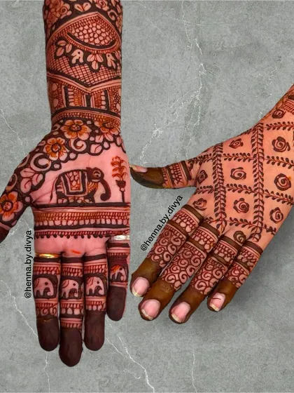 A beautiful combination of front and back-hand design. The front features a large elephant, while the back is covered in a geometric rose jaal (net) pattern.