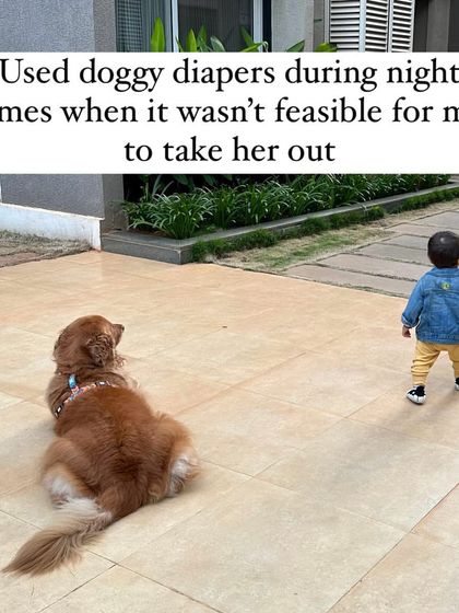 Nitika Ahlawat - Dog and Child Safety & Integration Our Family Album photo 23