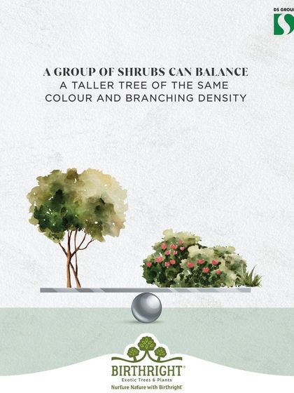 Landscaping is an art of balance. A group of low, dense shrubs can visually balance a taller, more open tree of the same color, creating harmony through contrasting forms and densities.