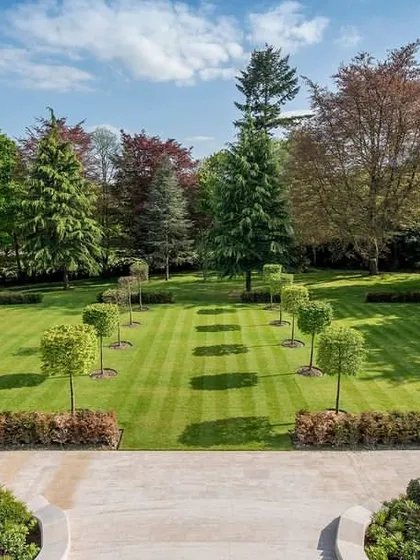 Our expertise extends to large-scale estate landscaping. We design and maintain expansive formal lawns with features like avenues of pleached trees, ensuring a grand and impeccably manicured appearance across the entire property.