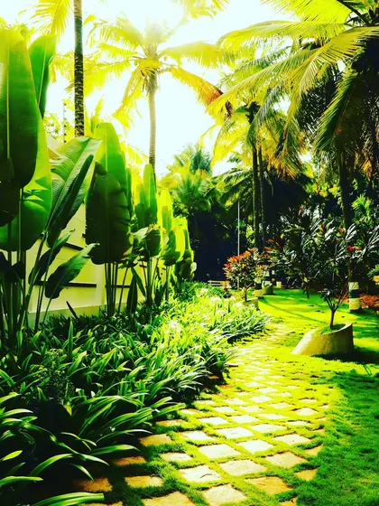 A pathway through a tropical garden I created, with sunlight filtering through large banana and palm leaves. My focus is on creating immersive environments by layering different plant heights and textures for a dense, natural feel.