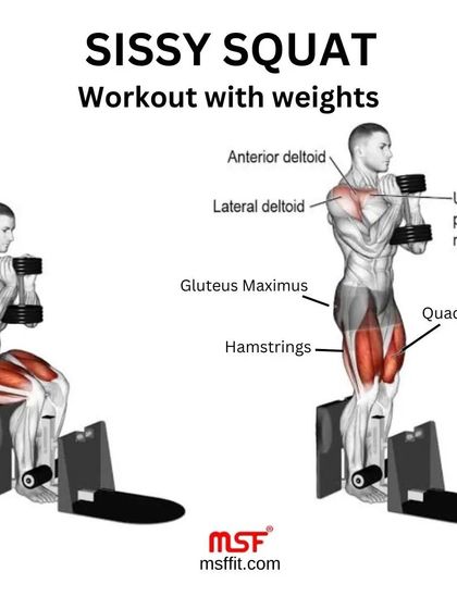 The sissy squat muscle diagram.