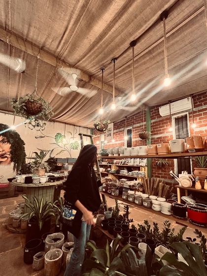 Our Green Cafe Oasis photo 32