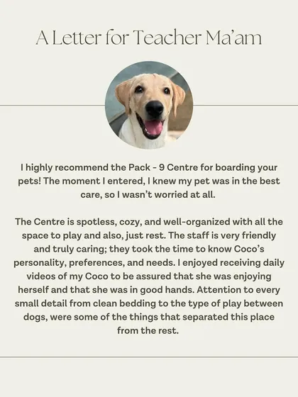 Coco's guardian knew her pet was in the best hands from the moment she entered. We pride ourselves on our spotless, cozy, and well-organized center and our truly caring staff.