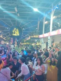 Festival & Large Event DJ/VDJ Services