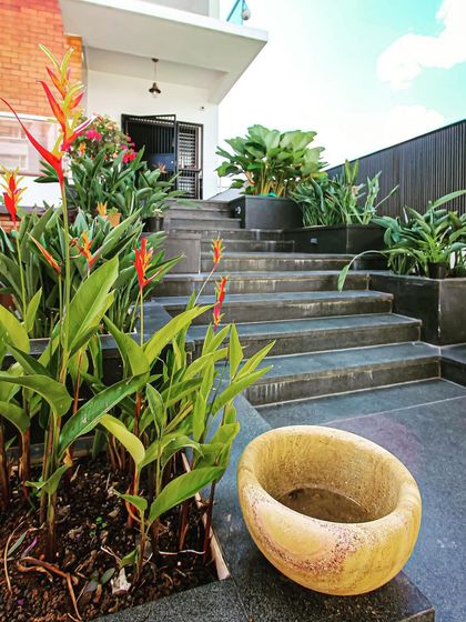 Redwall Design Studio - Residential Architecture Urban Residences & Villas photo 15