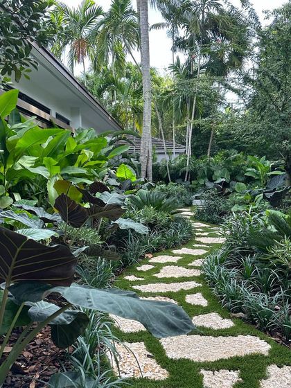 A winding stone path through a dense tropical garden. We use plants with varying heights and textures, like Alocasia and various grasses, to create a full, immersive experience.