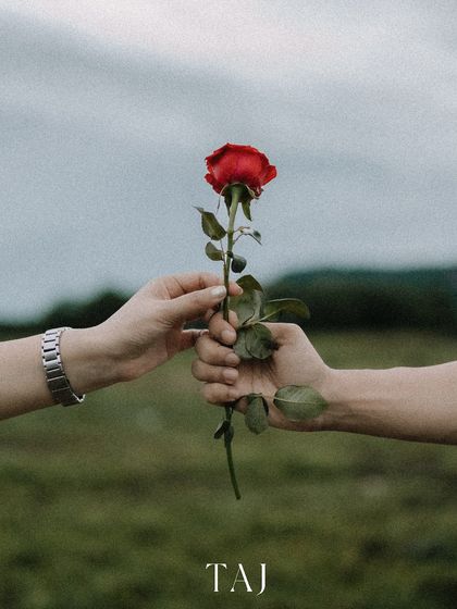 A close-up, symbolic shot of the couple's hands exchanging a single red rose. This image is simple, powerful, and full of romantic meaning, focusing on the gesture of giving and receiving love.