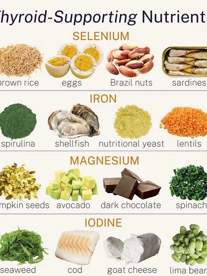 Managing hypothyroidism starts with the right nutrients on your plate. This guide shows key foods like eggs for selenium and lentils for iron that support your thyroid function, which are a core part of my diet plans.