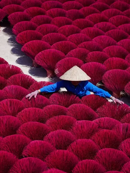 A worker in the Quang Phu Cau incense village arranges bundles of freshly dyed incense sticks to dry in the sun. The vibrant color and patterns are breathtaking.