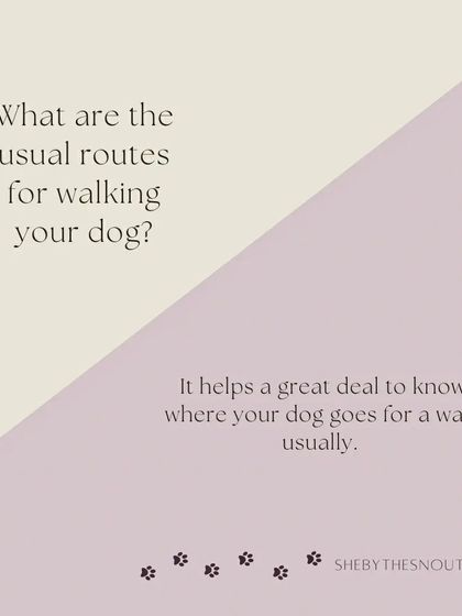 Aditi - In-Home Pet Sitting My Approach to Pet Sitting photo 5