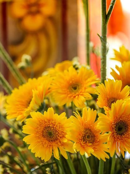 A close-up of a bouquet of bright yellow gerbera daisies, adding a fresh and cheerful touch to the wedding decorations.