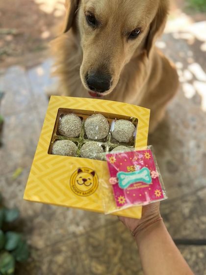 A golden retriever eyes his Raksha Bandhan gift. The hamper includes a box of our popular coconut ladoos and a "Best Broth-er" Rakhi.