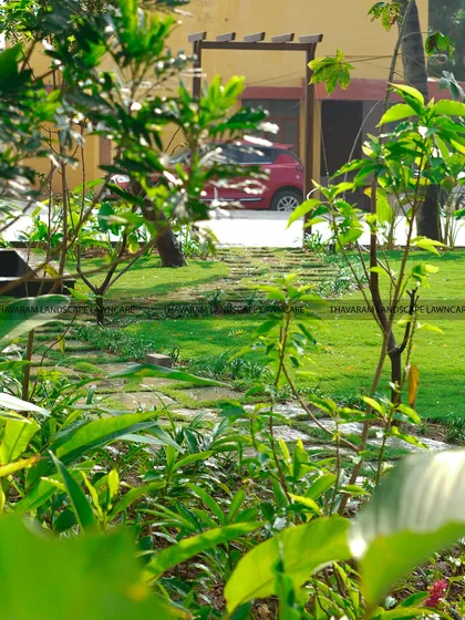 Another layered view of a residential garden, with a focus on the healthy green lawn and the variety of plant textures.