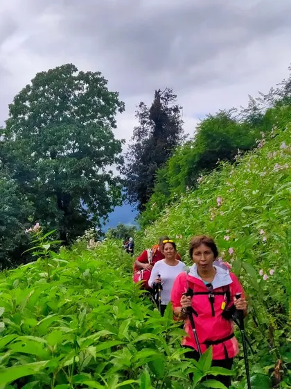 A group of women trekking through the dense, green foliage on the Bhrigu Lake trail.