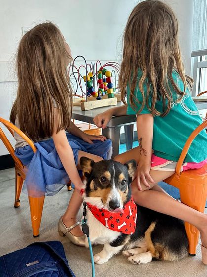 Tulsa Dog Trainer - Immersive Board & Train Programs Real-World Training & Socialization photo 8