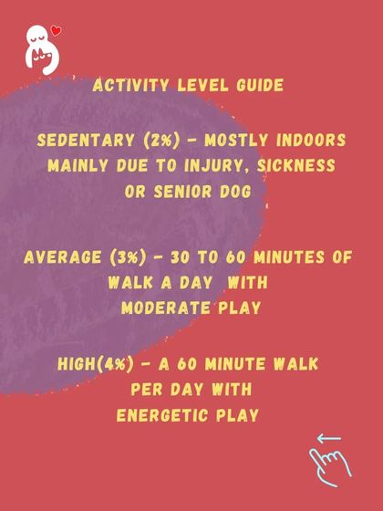 Hungry Eyes - Freshly Cooked Dog Meals Empowering Pet Parents photo 23