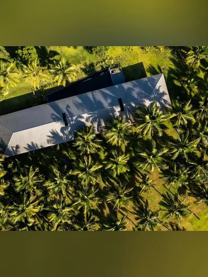 An aerial view shows how this home is perfectly situated within a dense canopy of palm trees. The landscape design respects the natural environment, making the house feel like a hidden gem in a tropical forest.