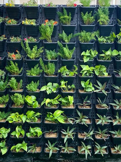 Living & Natural Walls photo 13