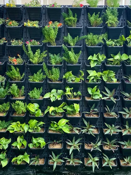This is where the magic begins. A look at the structure of our living walls, with each planter ready to hold a different plant, creating a mosaic of greenery.