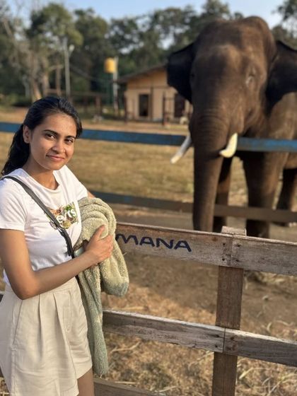 Getting up close with the gentle giants at the Dubare Elephant Camp in Coorg. It's a wonderful experience to see these magnificent creatures in a natural setting.