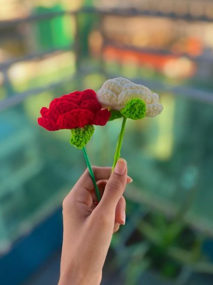 A pair of handmade crochet roses, one in classic red and the other in elegant white. You can buy them as single stems or mix and match to create your own custom bouquet.