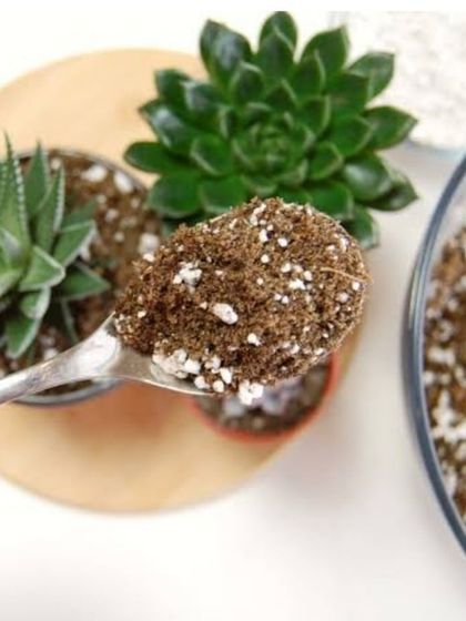 The Garden Hub - Garden Maintenance Soil, Mixes & Plant Care Essentials photo 5