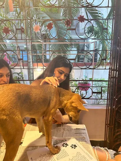 A puppy stands on the art table, curiously watching the participants as they paint.