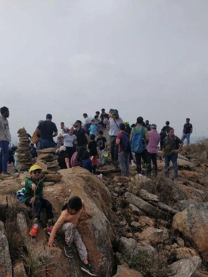 The Earth School - Nature & Community Engagement Programs Community in Action: Giving Back & Celebrating Together photo 27