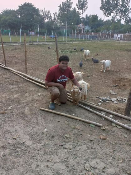 We ensure even our youngest guests can have safe and memorable interactions. This little visitor is enjoying a gentle moment with one of our friendly goats.