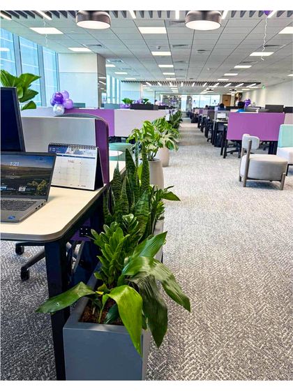 A view of the workstations at VeArc, where individual planters are placed along the desk dividers. This approach ensures that every employee has a personal connection to nature, which is proven to boost focus and reduce stress.