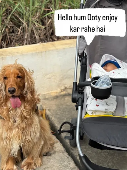 The baby's perspective: "Hello, we are enjoying Ooty." The cool Bangalore breeze can be deceiving.
