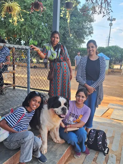 A group of friends smiling for a picture with the ever-patient and friendly St. Bernard.
