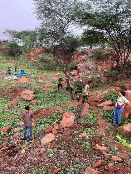 Volunteers and our team work on the rocky, sloped terrain of the mined-out pit, strategically planting saplings to prevent erosion and restore the natural landscape.